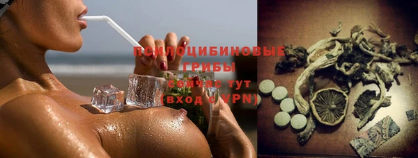 ГАЛЛЮЦИНОГЕННЫЕ ГРИБЫ Нязепетровск