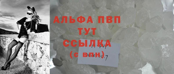стафф Новозыбков
